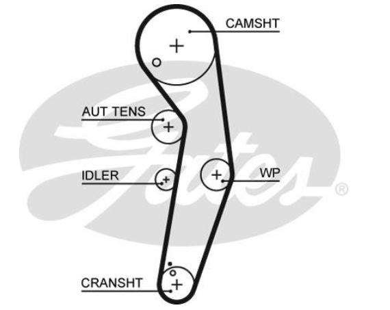 Водяний насос + комплект зубчатого ременя KP25569XS-3 - зображення 2