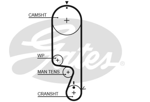 Водяний насос + комплект зубчатого ременя KP25535XS - зображення 2
