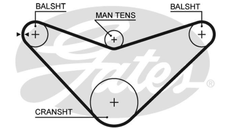 Комплект ременя ГРМ K015480XS - зображення 2