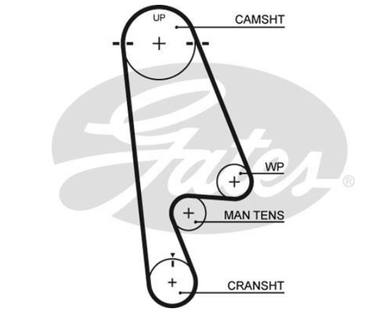 Комплект ременя ГРМ K015480XS - зображення 3