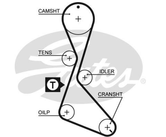 Комплект ременя ГРМ K015370XS - зображення 2