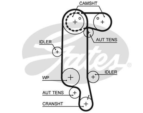 Комплект ременя ГРМ K035565XS - зображення 3
