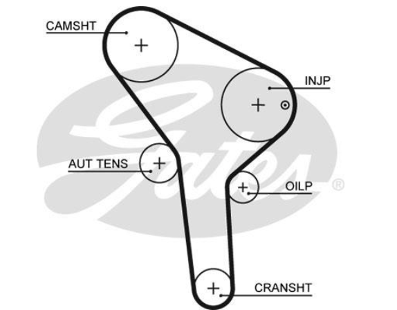 Комплект ременя ГРМ K015564XS - зображення 2