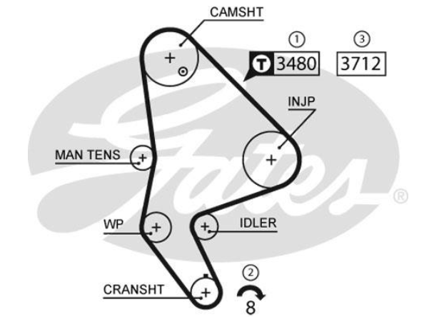 Комплект ременя ГРМ K015590XS - зображення 2