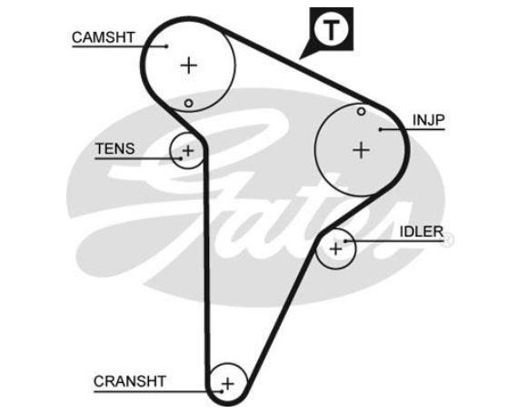 Комплект ременя ГРМ K015420XS - зображення 2