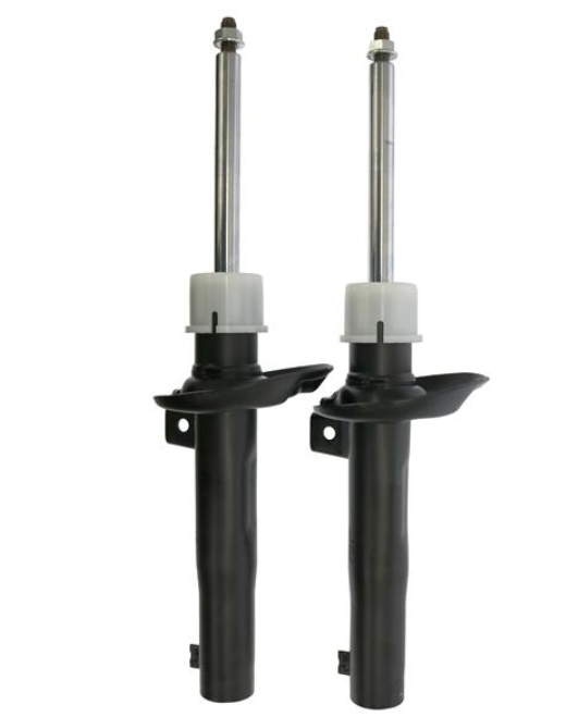 Амортизатор підвіски TL C00388.2 - зображення 2